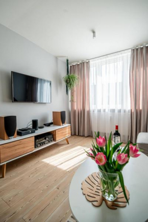 Apartment by the Castle - top spot in Szczecin Szczecin